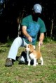 /album/galeria-de-fotos-salsa/salsa-4-meses-1-copia-jpg/